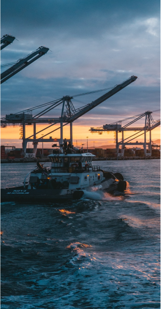Port terminal cranes at dusk